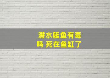 潜水艇鱼有毒吗 死在鱼缸了